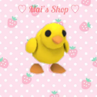 Chick