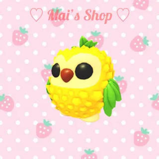 MFR Pineapple Owl