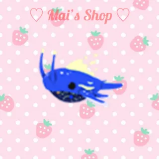 MR Space Whale