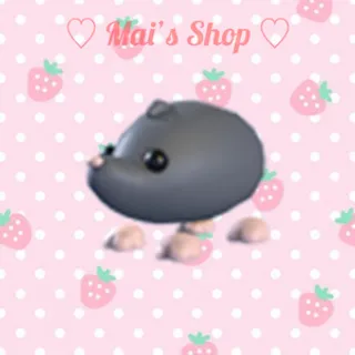 Sado Mole