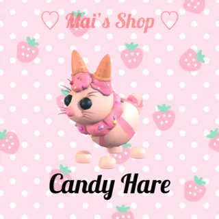 Candy Hare