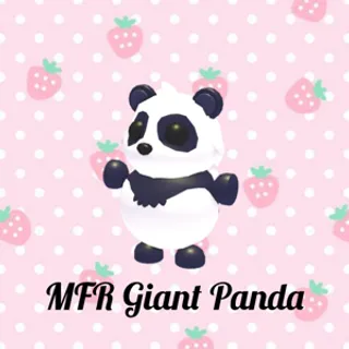 MFR Giant Panda