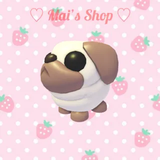 MFR Snowball Pug