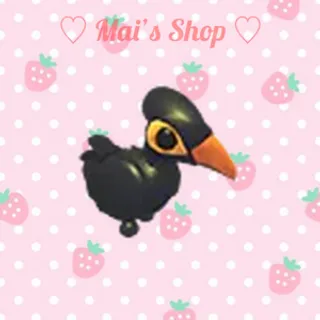 Maleo Bird 16x