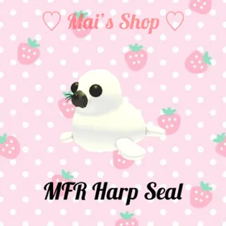 MFR Harp Seal