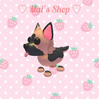 German Shepherd