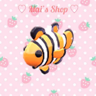 MR Clownfish