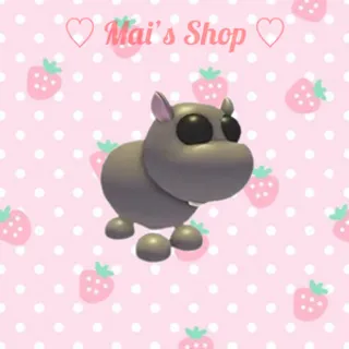MR Hippo