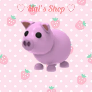 FR Pig