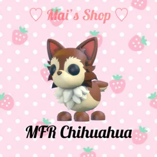 MFR Chihuahua
