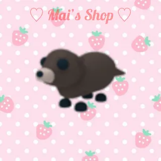 Otter