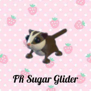 FR Sugar Glider