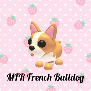 MFR French Bulldog