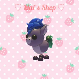 M Punk Pony