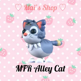 MFR Alley Cat
