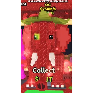 Strawberry Elephant