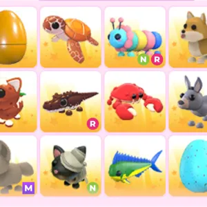 pet bundle X12