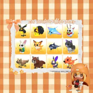 x36 random ultra rare | affordable adopt me adm bundle!