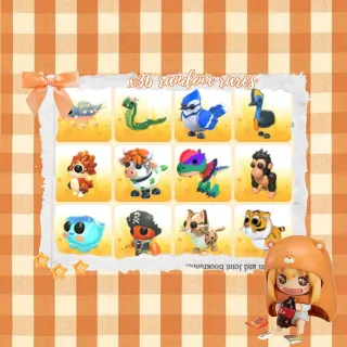 x36 random rare | affordable adopt me adm bundle!