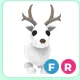 FR Arctic Reindeer