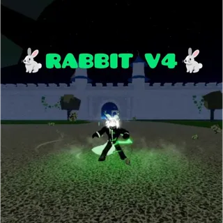 Blox Fruits Account : Godhuman + CDK + RABBIT V4 Full Gear + Random Fruits and Items