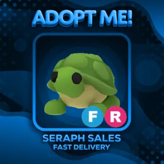 FR Turtle | Adopt Me | Fly Ride | Cheap Pets | Fast Delivery