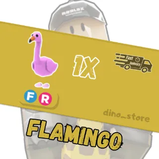 Flamingo FR - adopt me