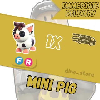 Mini pig FR - adopt me