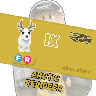 Arctic reindeer FR - adopt me