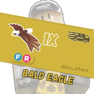 bald eagle FR - adopt me