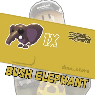 Bush elephant - adopt me