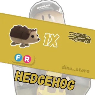 Hedgehog FR - adopt me