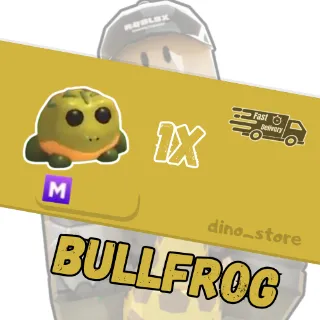 Bullfrog M - adopt me