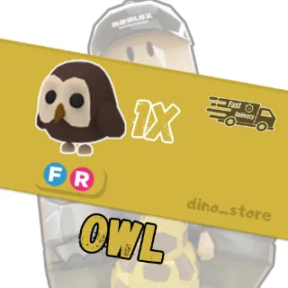 Owl FR - adopt me