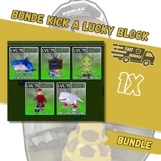  🌟Bundle kick a lucky block🌟