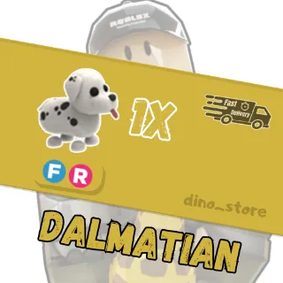 Dalmatian FR - adopt me