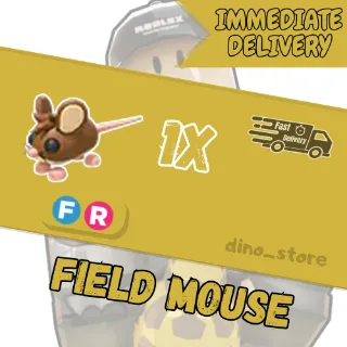 Field mouse FR - adopt me