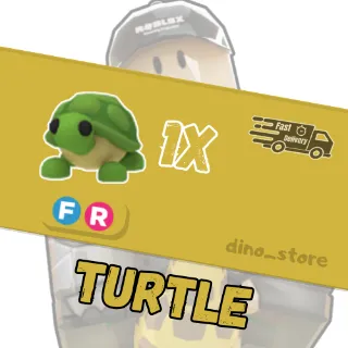 Turtle FR - adopt me