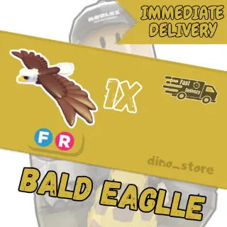 Bald eagle FR - adopt me