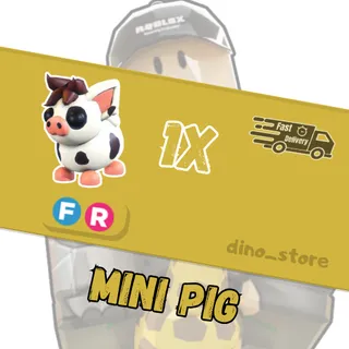 Mini pig FR - adopt me