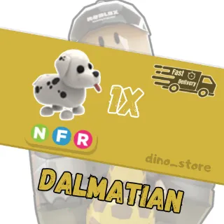 Dalmatian FR - adopt me