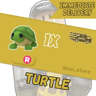 Turtle R - adopt me