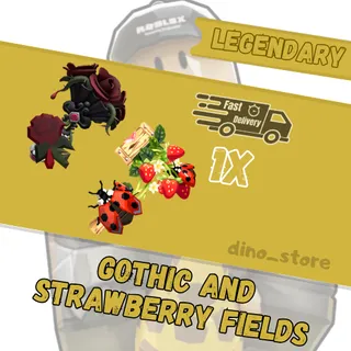 🌟Gothic bouquet and strawberry fields🌟- ftf