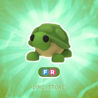 Turtle FR - adopt me