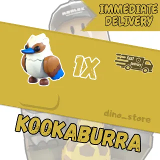 Kookaburra - adopt me