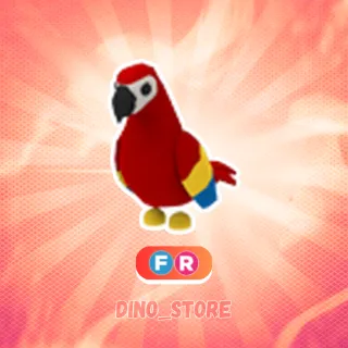 Parrot FR - adopt me