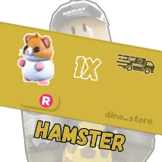 Hamster R - adopt me