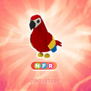 Parrot NFR - adopt me