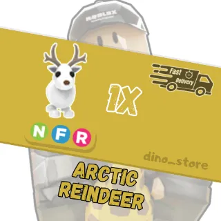 Arctic reindeer FR - adopt me