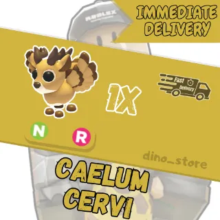 Caelum cervi NFR - adopt me